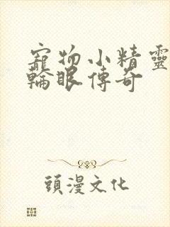 宠物小精灵之写轮眼传奇