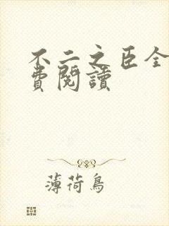 不二之臣全文免费阅读