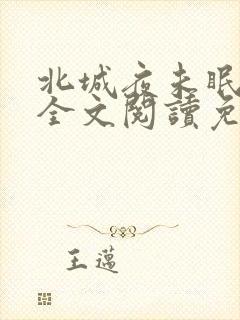 北城夜未眠小说全文阅读免费封面
