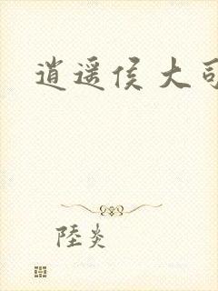 逍遥侯 大司空封面