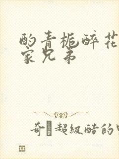 酌青栀醉花阴贺家兄弟封面