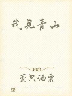 我见青山封面
