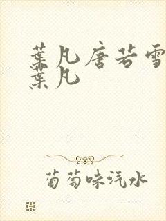 叶凡唐若雪医婿叶凡