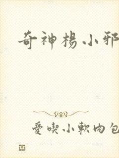 奇神杨小邪封面