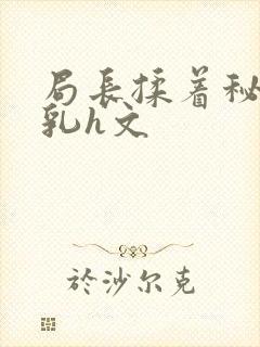 局长揉着秘书的乳h文封面