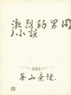 激烈的男同(h)小说