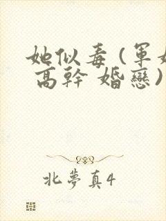 她似毒 (军婚 高干 婚恋)完结