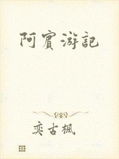 阿宾游记封面