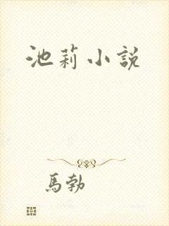 池莉小说