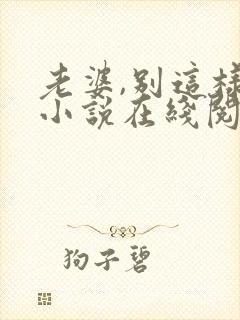 老婆,别这样 小说在线阅读