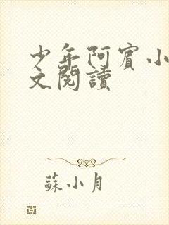 少年阿宾小说全文阅读封面