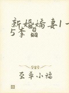 新婚娇妻1一25李晶