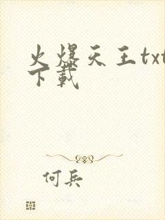 火爆天王txt下载
