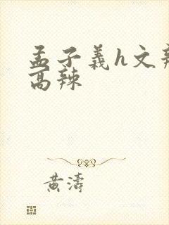 孟子义h文辣文高辣