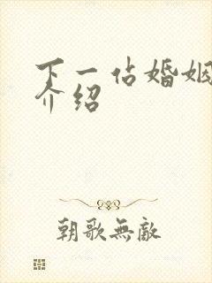 下一站婚姻剧情介绍封面