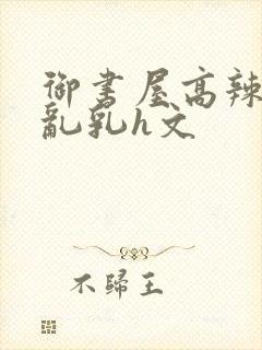 御书屋高辣h文乱乳h文