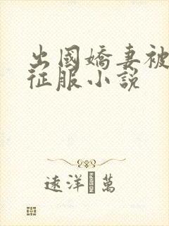 出国娇妻被黑人征服小说封面