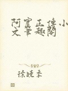 阿宾正传小说全文笔趣阁