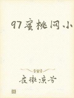 97蜜桃网小说