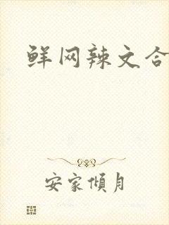 鲜网辣文合集封面