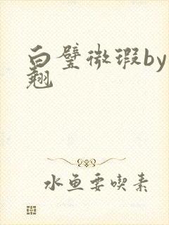 白璧微瑕by连翘