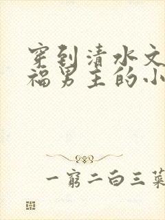 穿到清水文里造福男主的小说