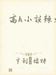 高h小说辣文h