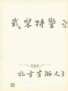 武装特警 淮上封面