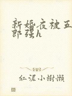 新婚夜被五个伴郎强h封面