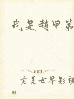 我是赵甲第小说