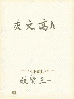 爽文高h