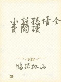 小说孙倩全文免费阅读