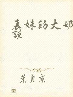 表妹的大奶子小说