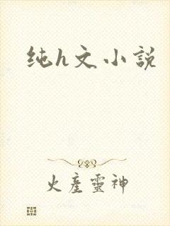 纯h文小说封面