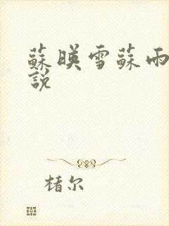 苏映雪苏雨柔小说