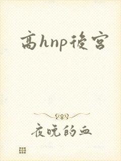 高hnp后宫