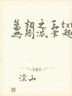 万相之王txt无删减笔趣阁