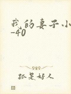 我的妻子小谨1-40