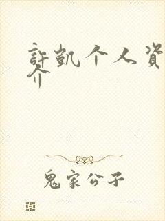 许凯个人资料简介