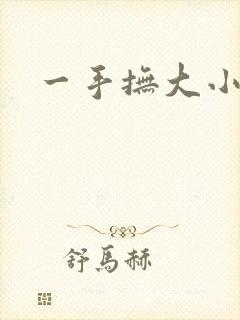 一手抚大小说