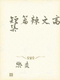 短篇辣文高h合集