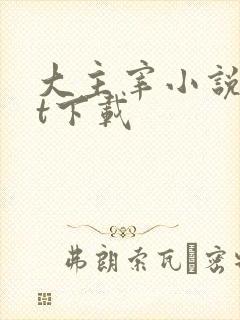 大主宰小说txt下载