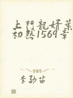 上门龙婿叶辰萧初然1569章了