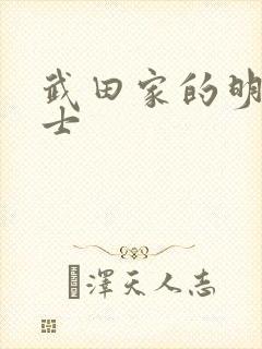 武田家的明国武士