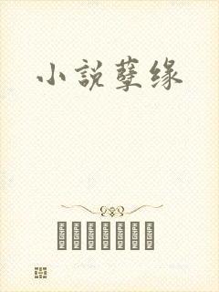 小说孽缘