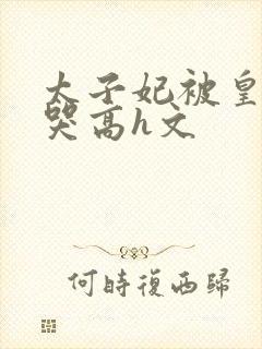 太子妃被皇上c哭高h文封面