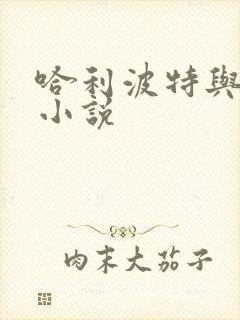 哈利波特与密室小说封面