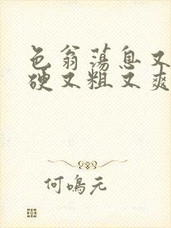 色翁荡息又大又硬又粗又爽电影