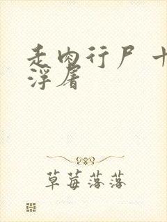 走肉行尸 十阶浮屠