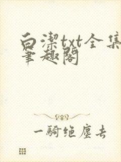 白洁txt全集笔趣阁封面